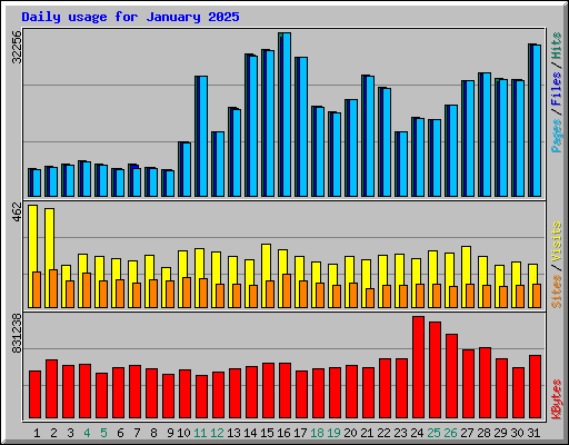 Daily usage for January 2025
