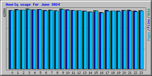 Hourly usage for June 2024