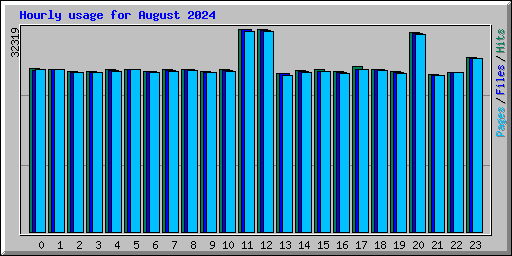 Hourly usage for August 2024