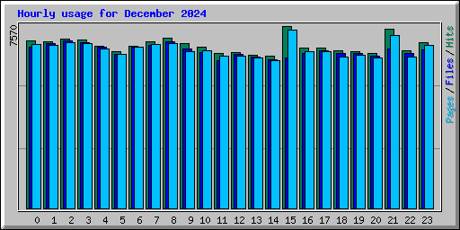 Hourly usage for December 2024