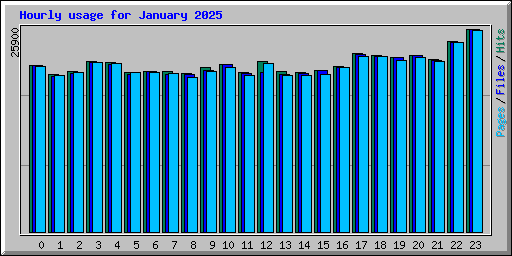 Hourly usage for January 2025