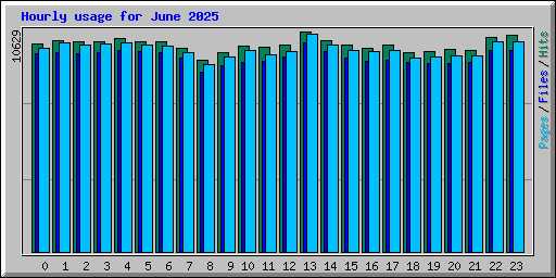 Hourly usage for June 2025