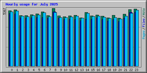 Hourly usage for July 2025