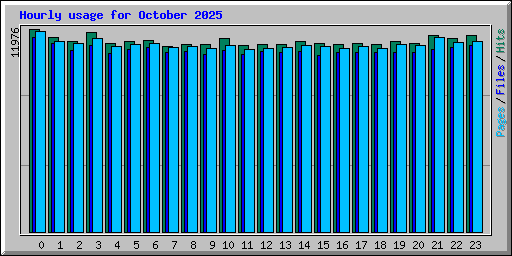 Hourly usage for October 2025