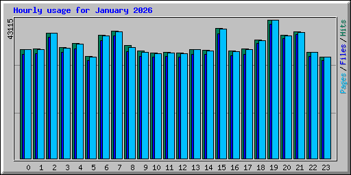 Hourly usage for January 2026