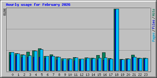 Hourly usage for February 2026