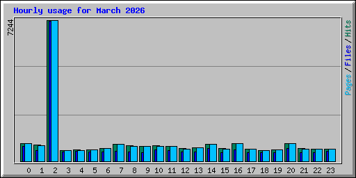 Hourly usage for March 2026