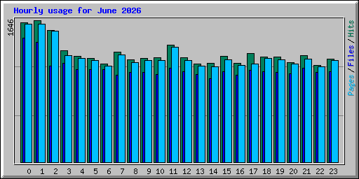 Hourly usage for June 2026