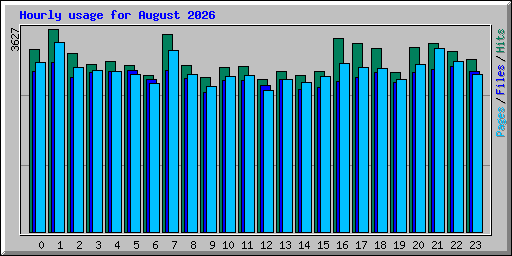 Hourly usage for August 2026